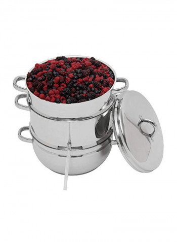 Stainless Steel Steam Juicer Silver 12x15x15inch