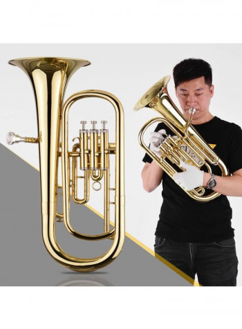 B Flat Wind Music Baritone With Accessory