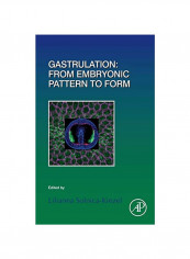 Gastrulation : From Embryonic Pattern to Form Hardcover