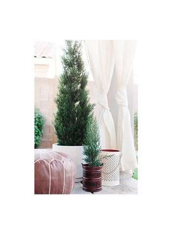 Artificial Pine Tree With Pot Green/Black