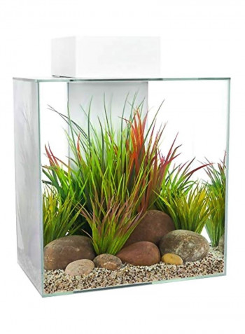 Cube Shaped Aquarium Clear 46L