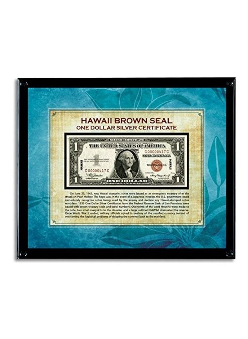 Hawaii Brown Seal Noted Acrylic Frame 11X9X1inch