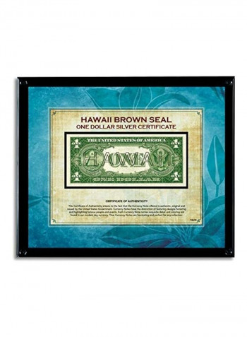 Hawaii Brown Seal Noted Acrylic Frame 11X9X1inch