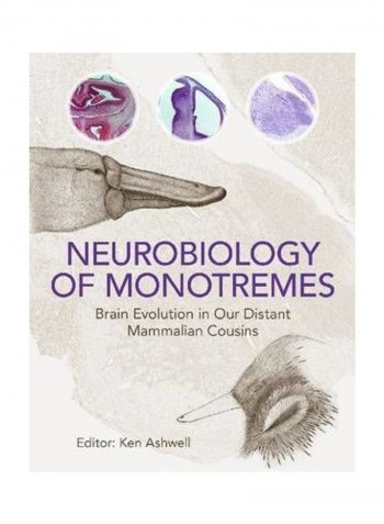Neurobiology Of Monotremes: Brain Evolution In Our Distant Mammalian Cousins Hardcover English
