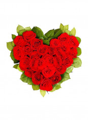 Heart Shape Rose Bouquet Red reviews Heart Shape Rose Bouquet Red