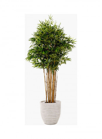 Topiary Bamboo Tree Multicolour