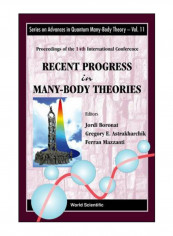 Recent Progress In Many-Body Theories Hardcover