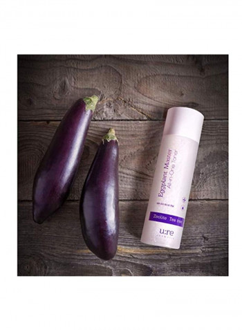 Eggplant Master All in One Toner 6.09ounce