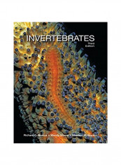 Invertebrates Hardcover 3