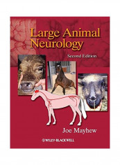 Large Animal Neurology Hardcover 2