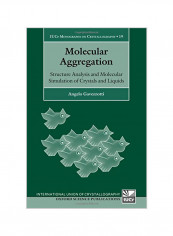 Molecular Aggregation: Structure Analysis and Molecular Simulation of Crystals and Liquids Iucr Monographs on Crystallography Hardcover
