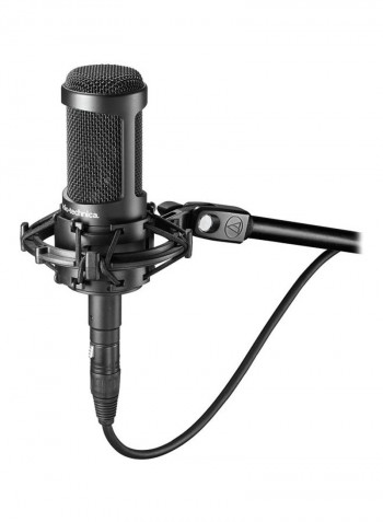 Microphones AT2050 Black
