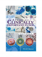 Atlas Of Clinically Important Fungi Hardcover
