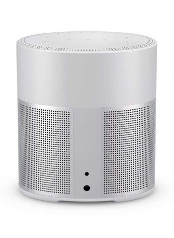 Home Speaker 300 HS300 LUX Luxe Silver