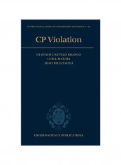 Cp Violation Hardcover