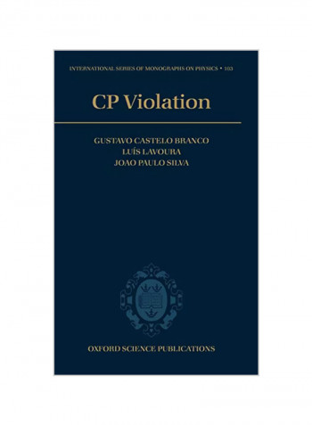 Cp Violation Hardcover