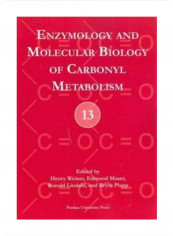 Enzymology And Molecular Biology Of Carbonyl Metabolism Paperback 1