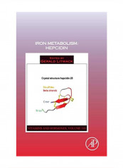 Iron Metabolism: Hepcidin Hardcover 1