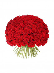 Rose Bouquet Red/Green reviews Rose Bouquet Red/Green