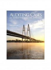 Auditing Cases: An Interactive Learning Approach Paperback