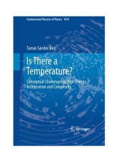 Is There A Temperature? غلاف صلب الإنجليزية by Tamás Sándor Biró