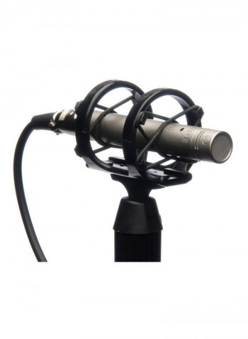Microphones NT5 Silver