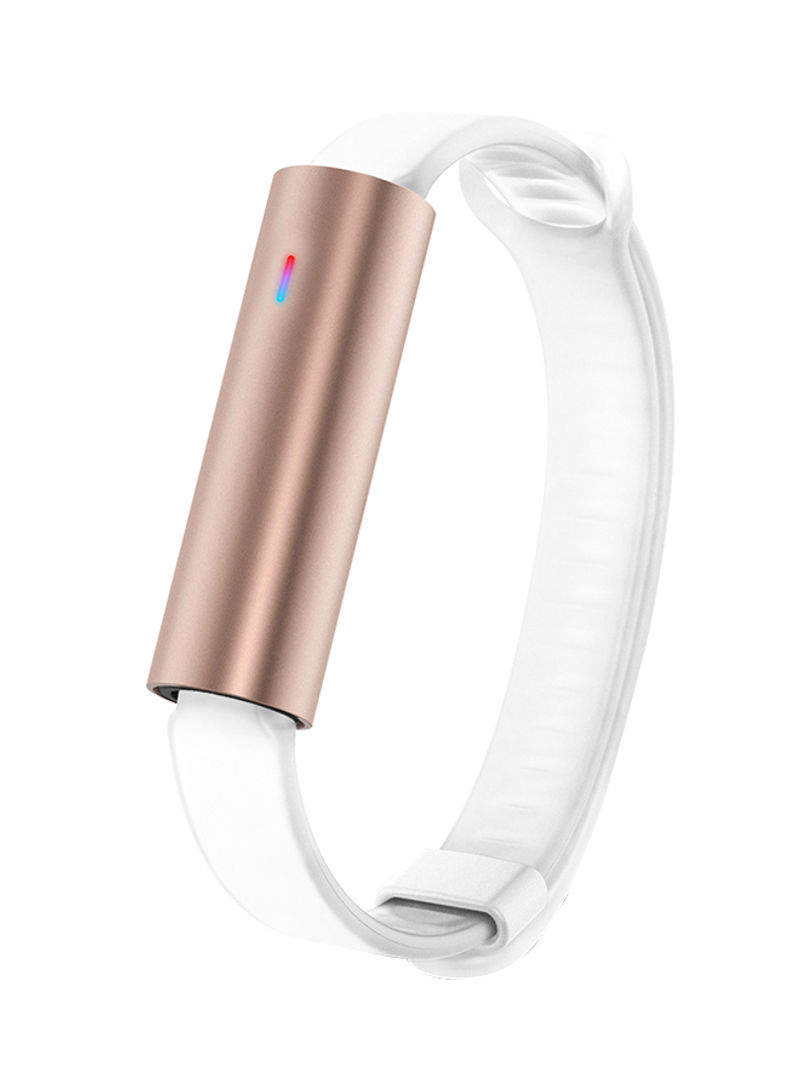 Ray  Sport Band Rose Gold
