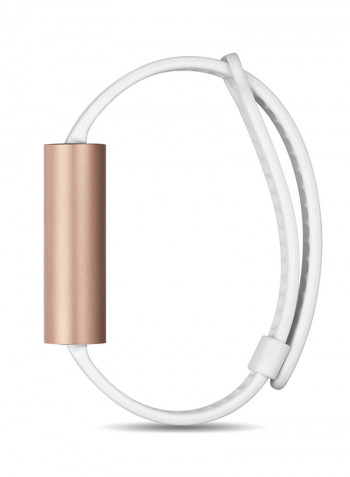Ray  Sport Band Rose Gold