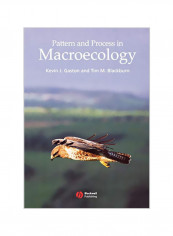 Pattern And Process In Macroecology Paperback