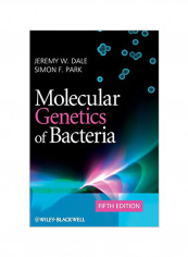 Molecular Genetics of Bacteria Hardcover