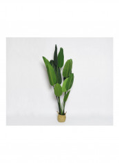 Strelitzia Tree Green/Beige reviews Strelitzia Tree Green/Beige