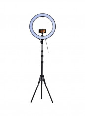 LED Video Ring Light With Accessory Kit 60.5x11.5x53.2centimeter Black/White/Red