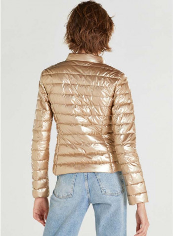 Quilted Finish Puffer Jacket Gold