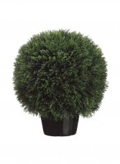 Cedar Ball Topiary With Pot Green/Black 20inch reviews Cedar Ball Topiary With Pot Green/Black 20inch
