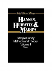 Sample Survey Methods and Theory, Volume 2: Theory Paperback