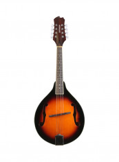 A-Style Mandolin With Carry Bag reviews A-Style Mandolin With Carry Bag