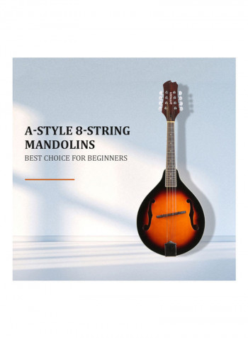 A-Style Mandolin With Carry Bag