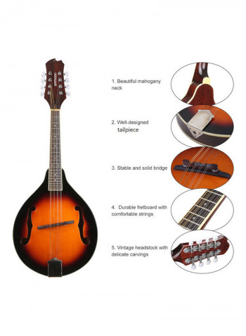 A-Style Mandolin With Carry Bag