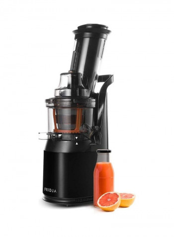 Masticating Juicer and Ice Cream Make 240 W F1900/BLK Black