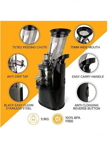 Masticating Juicer and Ice Cream Make 240 W F1900/BLK Black