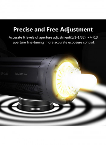 Professional 600W Studio Flash Light Black