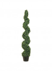 Spiral Topiary Plant Green/Black 5feet reviews Spiral Topiary Plant Green/Black 5feet