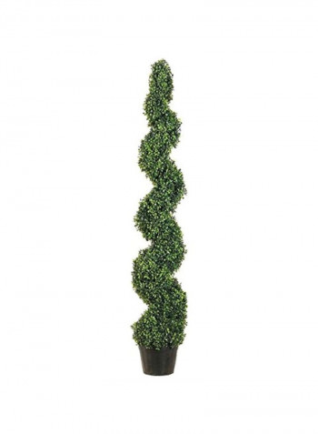 Spiral Topiary Plant Green/Black 5feet