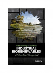 Industrial Biorenewables : A Practical Viewpoint Hardcover English by Pablo Dominguez De Maria - 2 May 2016