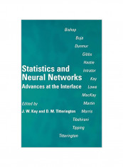 Statistics and Neural Networks: Advances at the Interface Hardcover