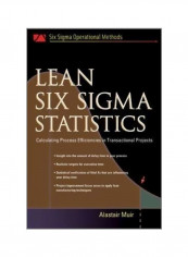 Lean Six Sigma Statistics : Calculating Process Efficiencies In Transactional Project Hardcover