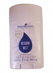 Meadow Mist Aromaguard Deodorant 42.5g