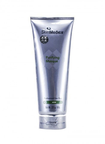 Purifying Masque 227g