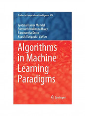 Algorithms In Machine Learning Paradigms Hardcover