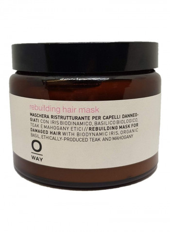 Rebuilding Hair Mask 16.9ounce